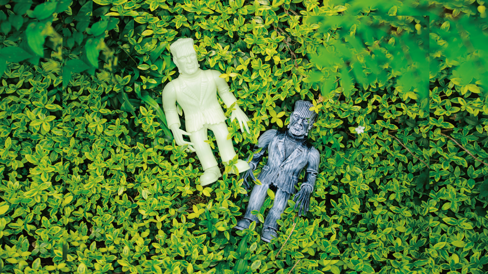 ウドンケンシュタイン